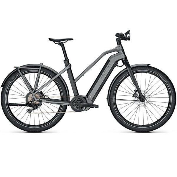 Kalkhoff Endeavour 7.B Pure - 625 Wh - Auslaufmodell - 27,5 Zoll - Damen Sport