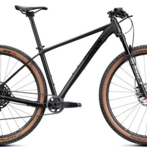 Radon Jealous AL 10.0 SL